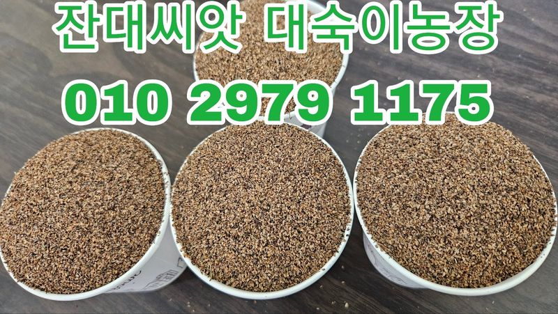 장터 상품 [잔대씨앗 판매] 썸네일