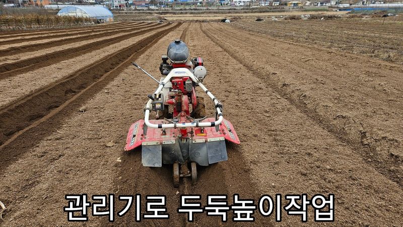 조병대님의 장터 판매 상품 [잔대씨앗 판매] 첨부 사진