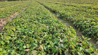 조병대님의 작성글 사진