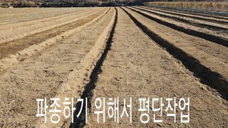 조병대님의 작성글 사진