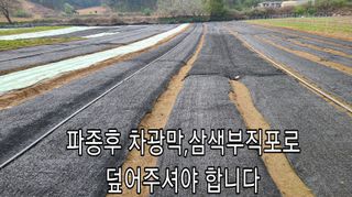 조병대님의 작성글 사진
