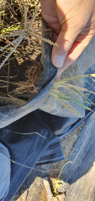 박진욱님의 기타작물 · 자유게시판 작성글 사진