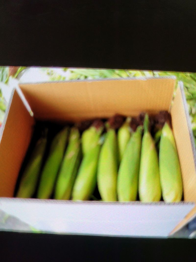 장터 상품 [횡성 냉동찰옥수수 ] 썸네일