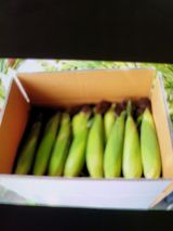 팜모닝 · 게시글 이미지