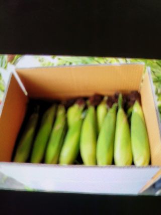 염한수님의 작성글 사진