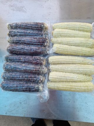 염한수님의 작성글 사진