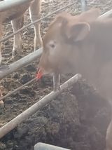 팜모닝 자유주제·자유게시판 게시글 이미지