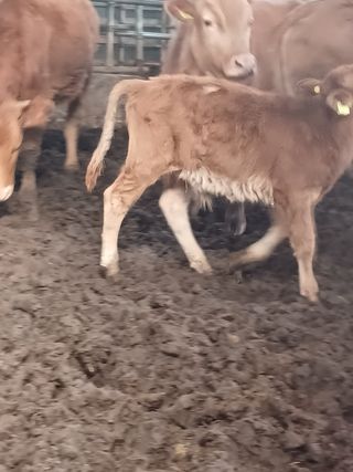 오임돈님의 자유주제 · 자유게시판 작성글 사진