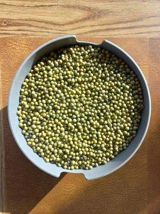 벼16257님의 작성글 사진