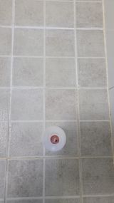 팜모닝 자유주제·자유게시판 게시글 이미지