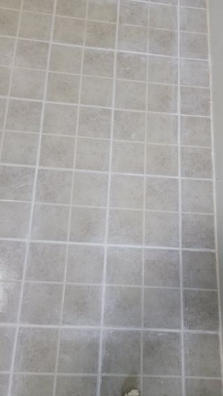 장선영님의 자유주제 · 자유게시판 작성글 사진