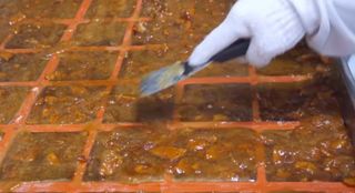 장팔현님의 기타작물 · 자유게시판 작성글 사진