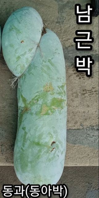 장팔현님의 기타작물 · 자유게시판 작성글 사진