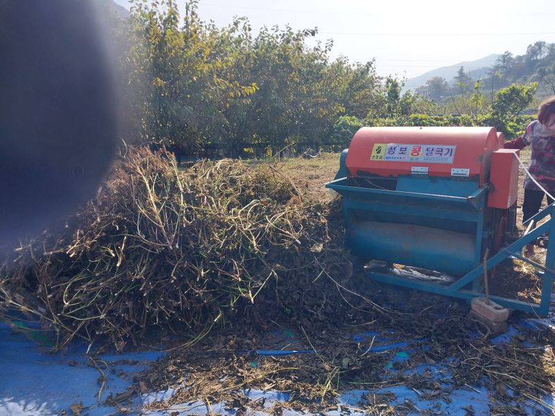 류남열님의 장터 판매 상품 [들깨5kg] 첨부 사진