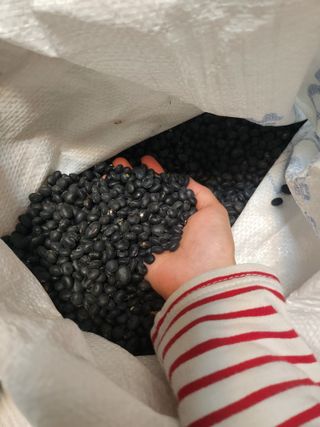  원서연님의 장터이야기 · 자유게시판 작성글 사진