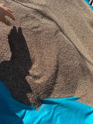  원서연님의 장터이야기 · 자유게시판 작성글 사진