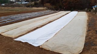 윤형식 님의 자유주제 · 자유게시판 작성글 사진