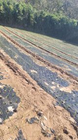 팜모닝 농사, 무엇이든 물어보세요!·참여글 게시글 이미지