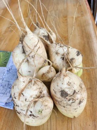 준영농장 출석왕.님의 자유주제 · 자유게시판 작성글 사진