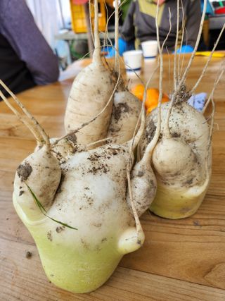 준영농장 출석왕.님의 자유주제 · 자유게시판 작성글 사진