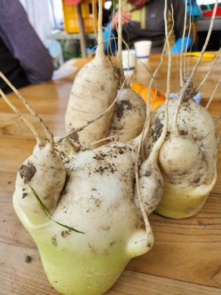 준영농장 출석왕.님의 자유주제 · 자유게시판 작성글 사진