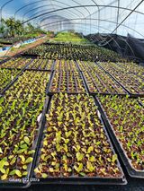 팜모닝 기타작물·자유게시판 게시글 이미지