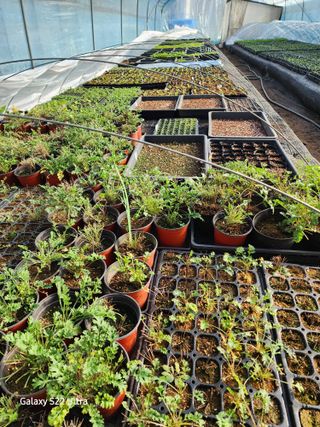 약초원 김종군님의 기타작물 · 자유게시판 작성글 사진