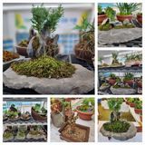 팜모닝 기타작물·자유게시판 게시글 이미지