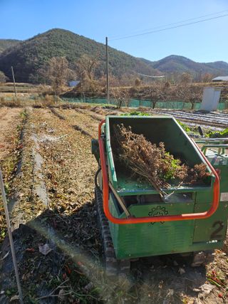 이영호님의 자유주제 · 자유게시판 작성글 사진