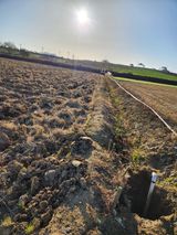 팜모닝 배추·영농일지 게시글 이미지