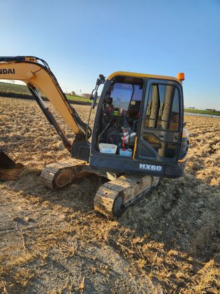 김저팔계님의 배추 · 영농일지 작성글 사진
