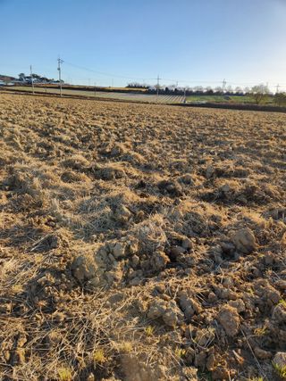 김저팔계님의 배추 · 영농일지 작성글 사진