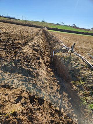 김저팔계님의 배추 · 영농일지 작성글 사진