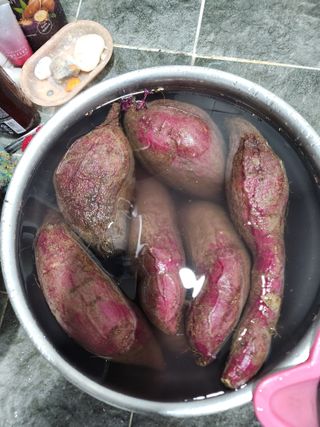 고영희님의 농사, 무엇이든 물어보세요! · 참여글 작성글 사진