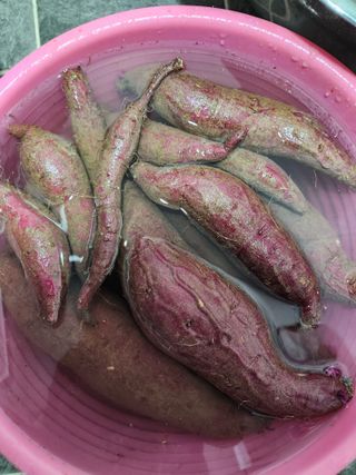 고영희님의 농사, 무엇이든 물어보세요! · 참여글 작성글 사진