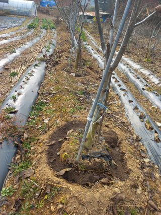 농산물에 진심구병안님의 겨울 대비 어떻게 하셨나요 · 참여글 작성글 사진