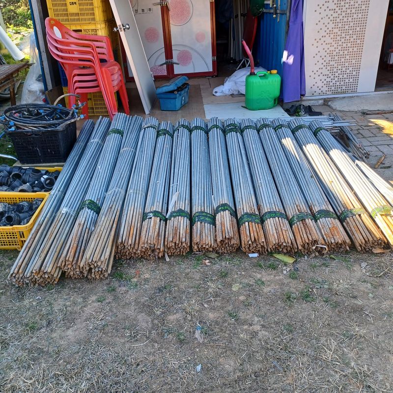 장터 상품 [고추대] 썸네일