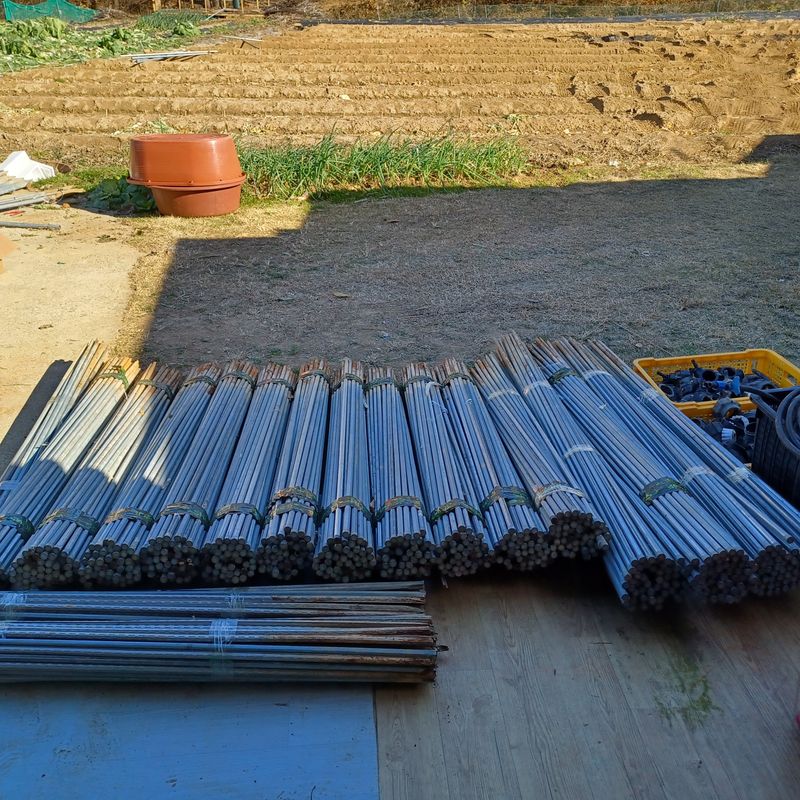 하하콩님의 장터 판매 상품 [고추대] 첨부 사진