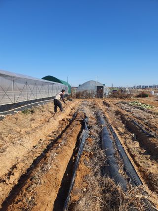 이종선님의 기타작물 · 자유게시판 작성글 사진