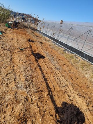 이종선님의 기타작물 · 자유게시판 작성글 사진