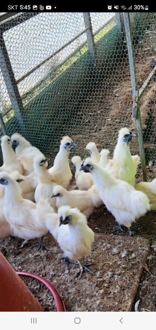 김영복님의 작성글 사진