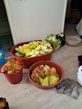 팜모닝 자유주제·사진전 게시글 이미지