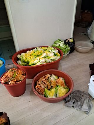 김재희님의 자유주제 · 사진전 작성글 사진