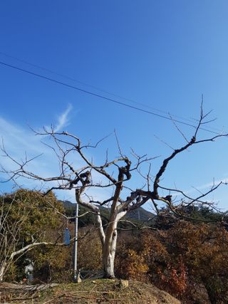 정수산님의 자유주제 · 자유게시판 작성글 사진