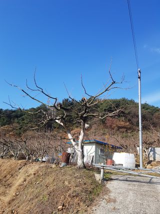 정수산님의 자유주제 · 자유게시판 작성글 사진