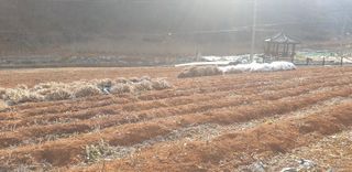 이종록님의 작성글 사진