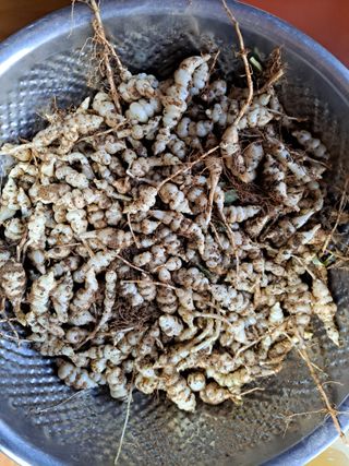 온시디움님의 자유주제 · 자유게시판 작성글 사진