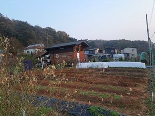 온시디움님의 자유주제 · 자유게시판 작성글 사진