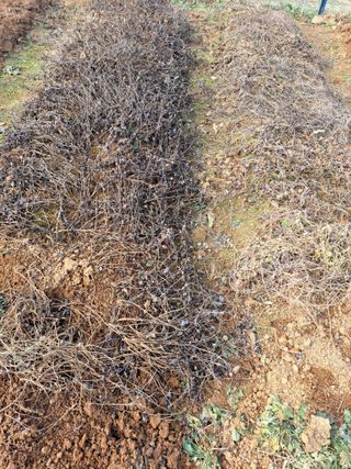 온시디움님의 자유주제 · 자유게시판 작성글 사진