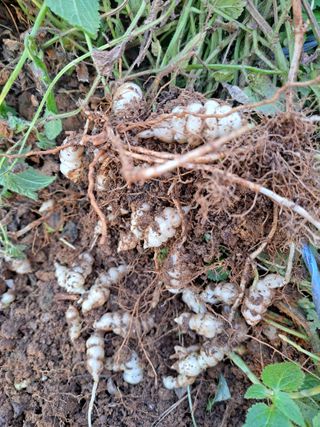 온시디움님의 자유주제 · 자유게시판 작성글 사진